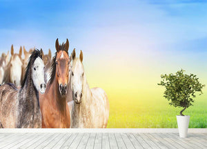 Herd of horses on background of summer Wall Mural Wallpaper - Canvas Art Rocks - 4