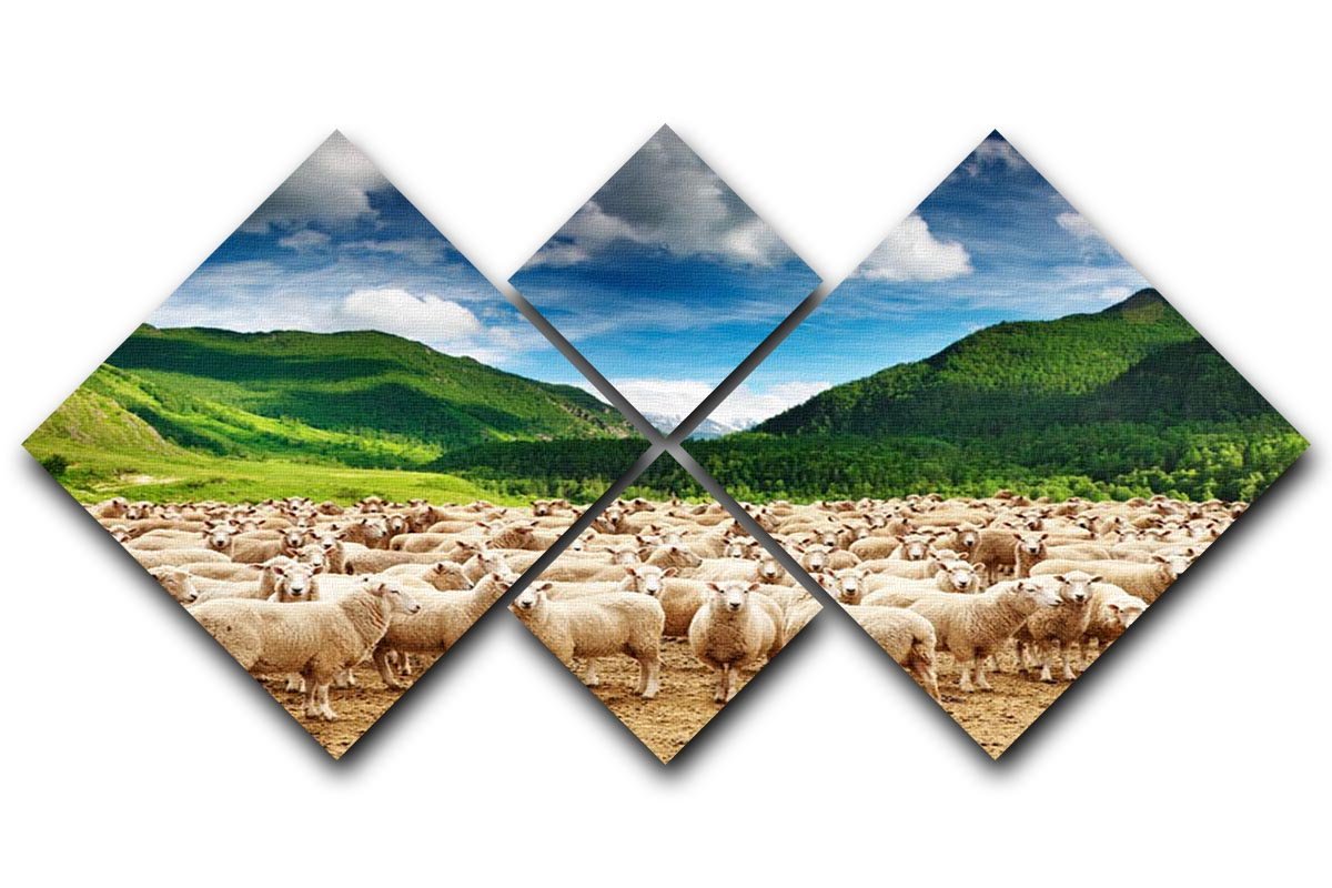 Herd of sheep 4 Square Multi Panel Canvas - Canvas Art Rocks - 1