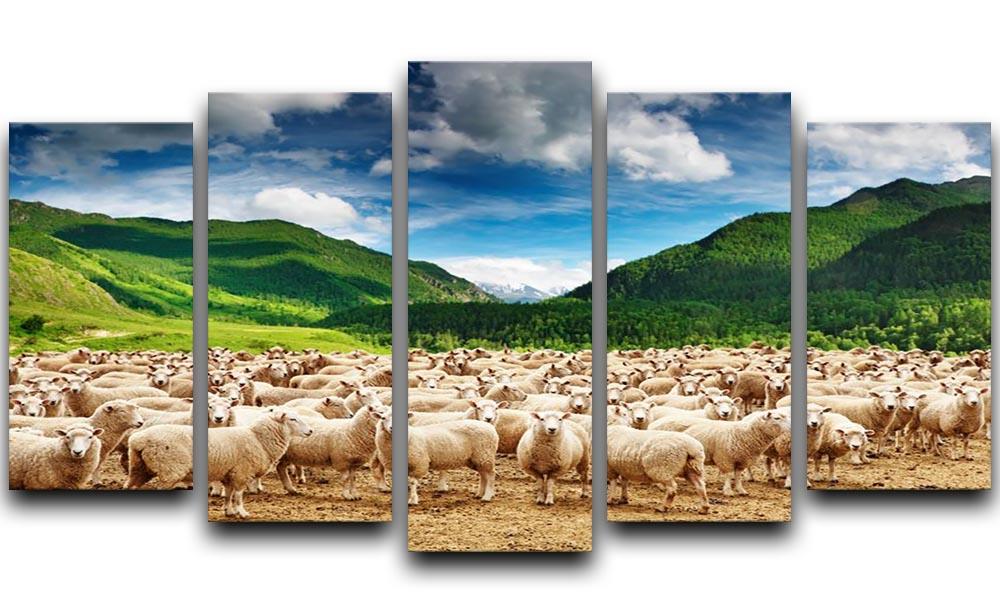 Herd of sheep 5 Split Panel Canvas - Canvas Art Rocks - 1