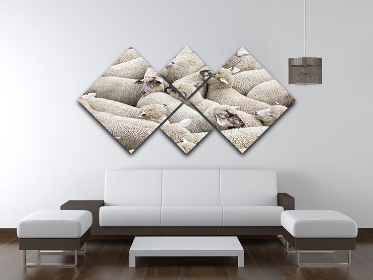 Herd of sheep on a truck 4 Square Multi Panel Canvas - Canvas Art Rocks - 3
