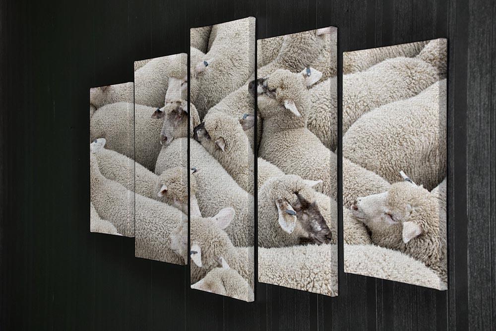 Herd of sheep on a truck 5 Split Panel Canvas - Canvas Art Rocks - 2