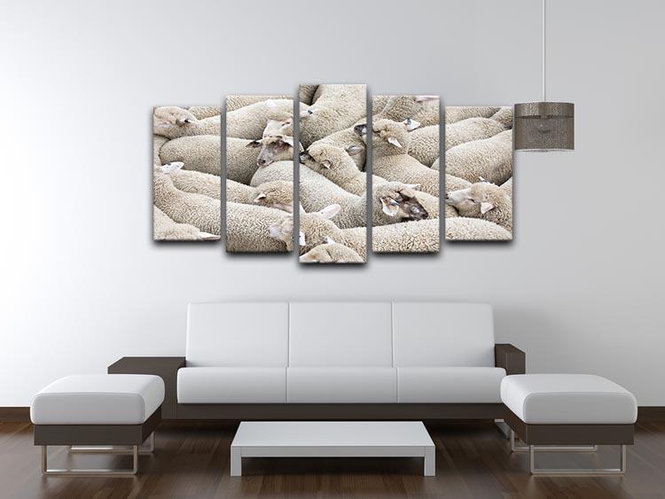 Herd of sheep on a truck 5 Split Panel Canvas - Canvas Art Rocks - 3