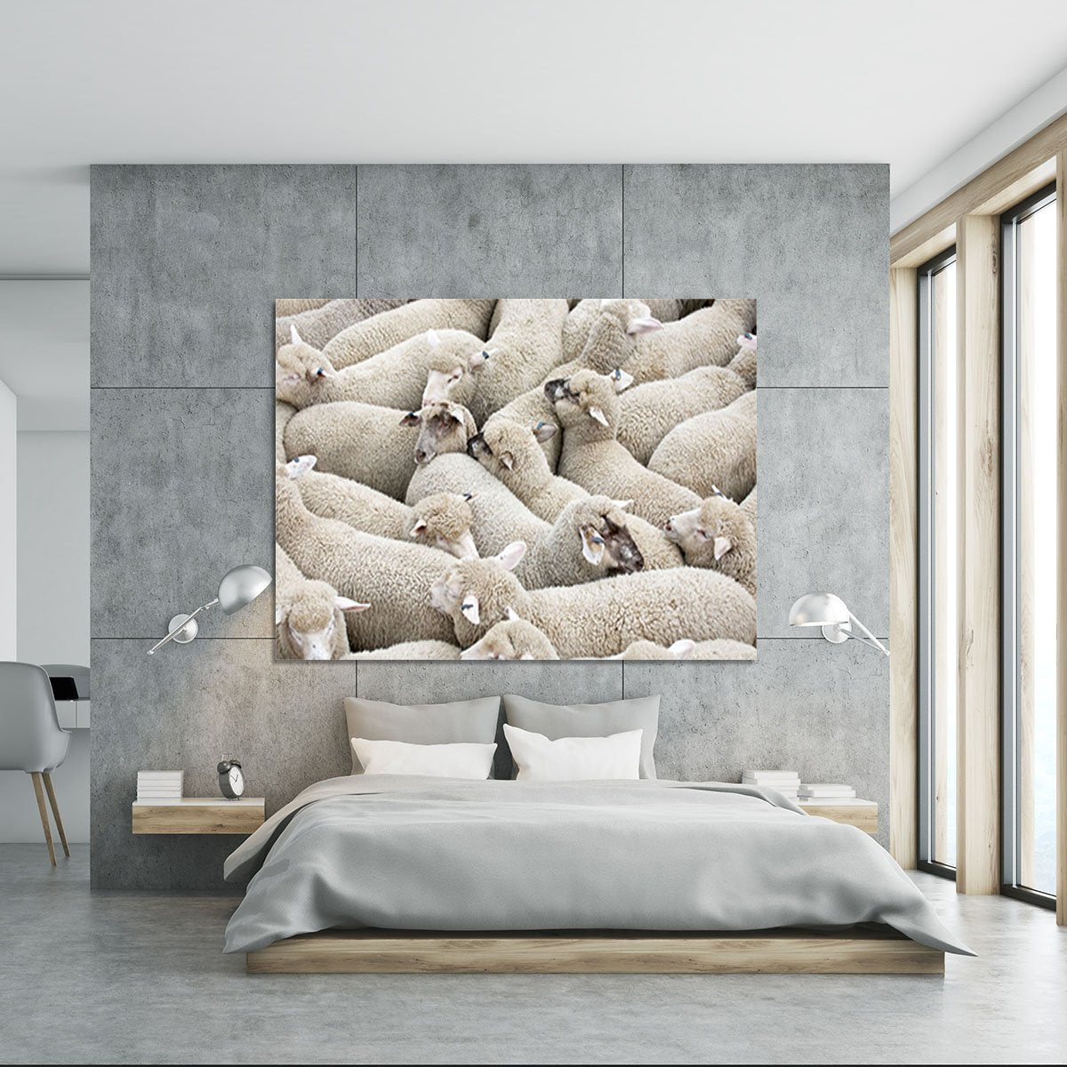 Herd of sheep on a truck Canvas Print or Poster