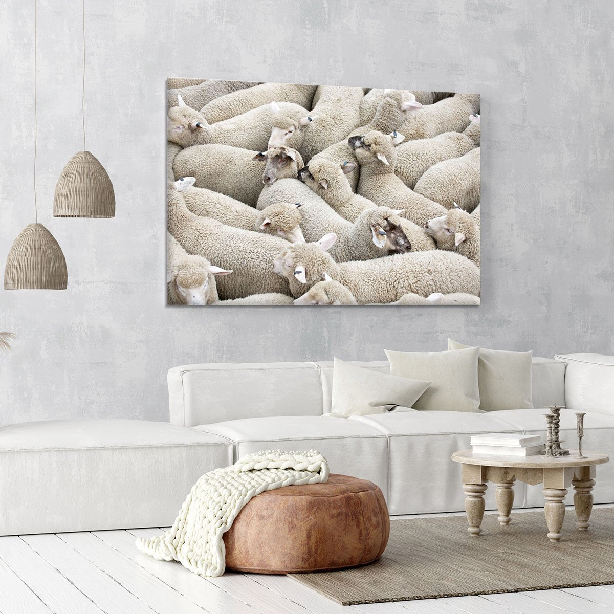 Herd of sheep on a truck Canvas Print or Poster
