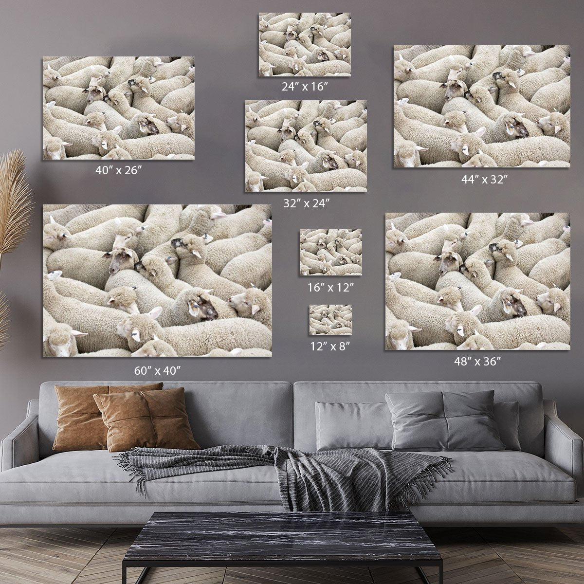 Herd of sheep on a truck Canvas Print or Poster