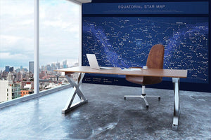 High detailed star map with names of stars contellations Wall Mural Wallpaper - Canvas Art Rocks - 3