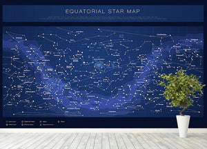 High detailed star map with names of stars contellations Wall Mural Wallpaper - Canvas Art Rocks - 4