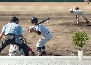 High school baseball game Wall Mural Wallpaper - Canvas Art Rocks - 4