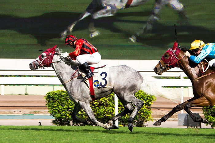 Horse Race Runners Wall Mural Wallpaper