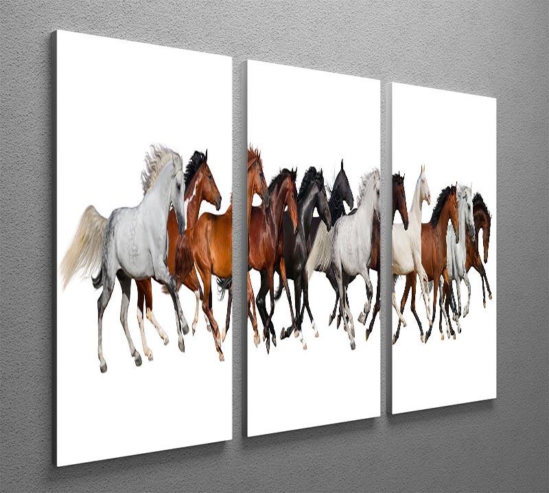 Horse herd 3 Split Panel Canvas Print - Canvas Art Rocks - 2