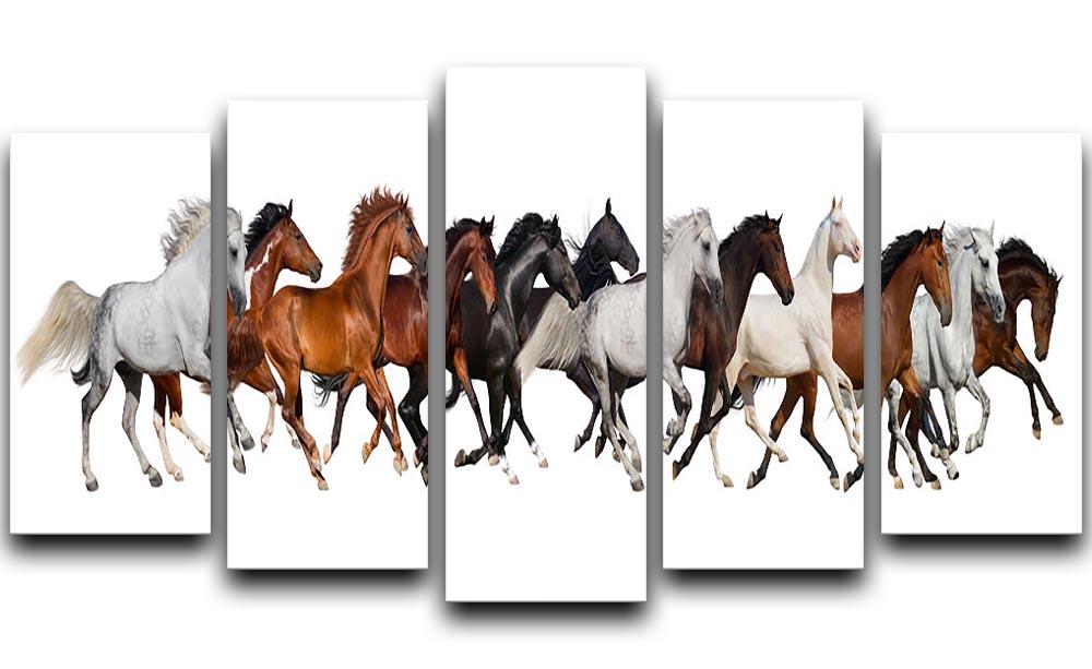 Horse herd 5 Split Panel Canvas - Canvas Art Rocks - 1