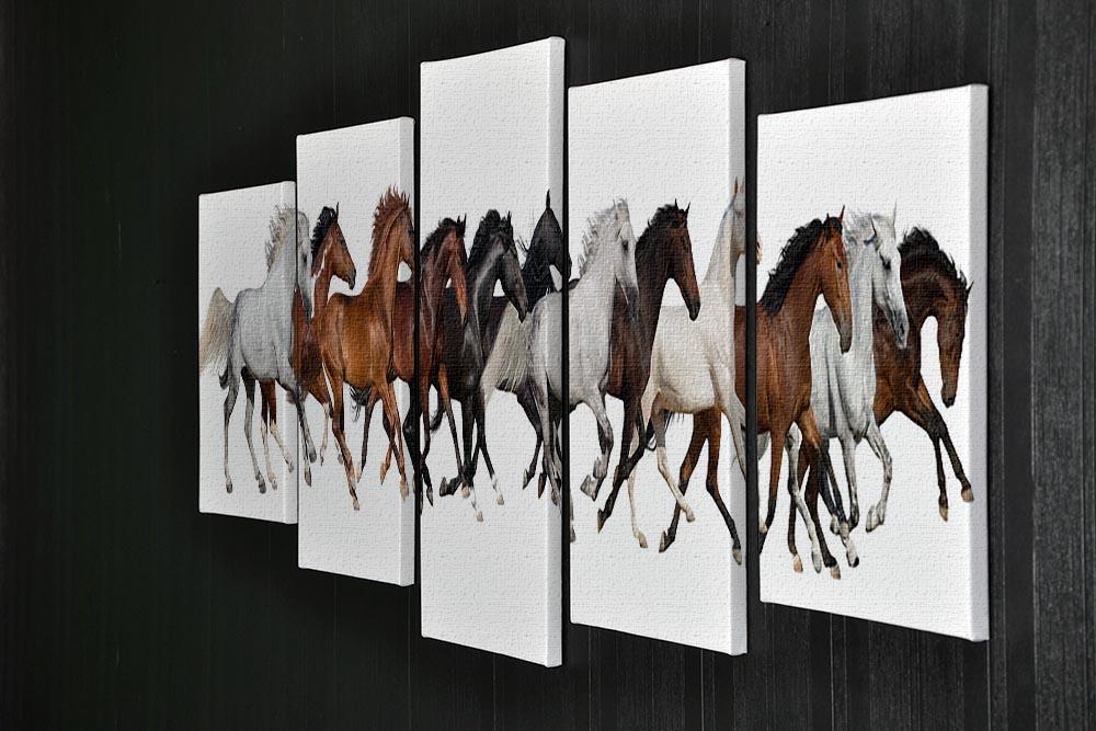 Horse herd 5 Split Panel Canvas - Canvas Art Rocks - 2