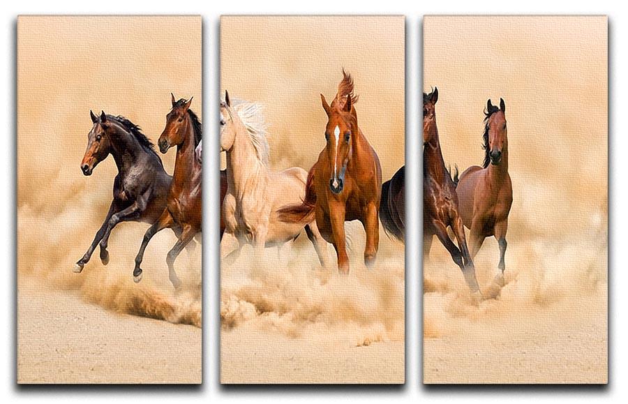 Horse herd run in desert sand storm 3 Split Panel Canvas Print - Canvas Art Rocks - 1