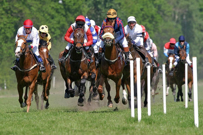 Horse racing Wall Mural Wallpaper