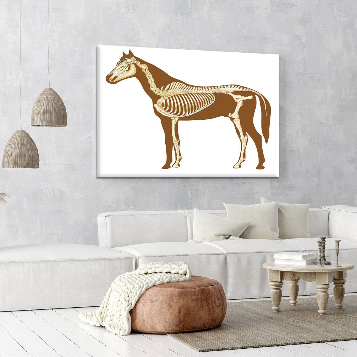 Horse skeleton section with bones x-ray Canvas Print or Poster