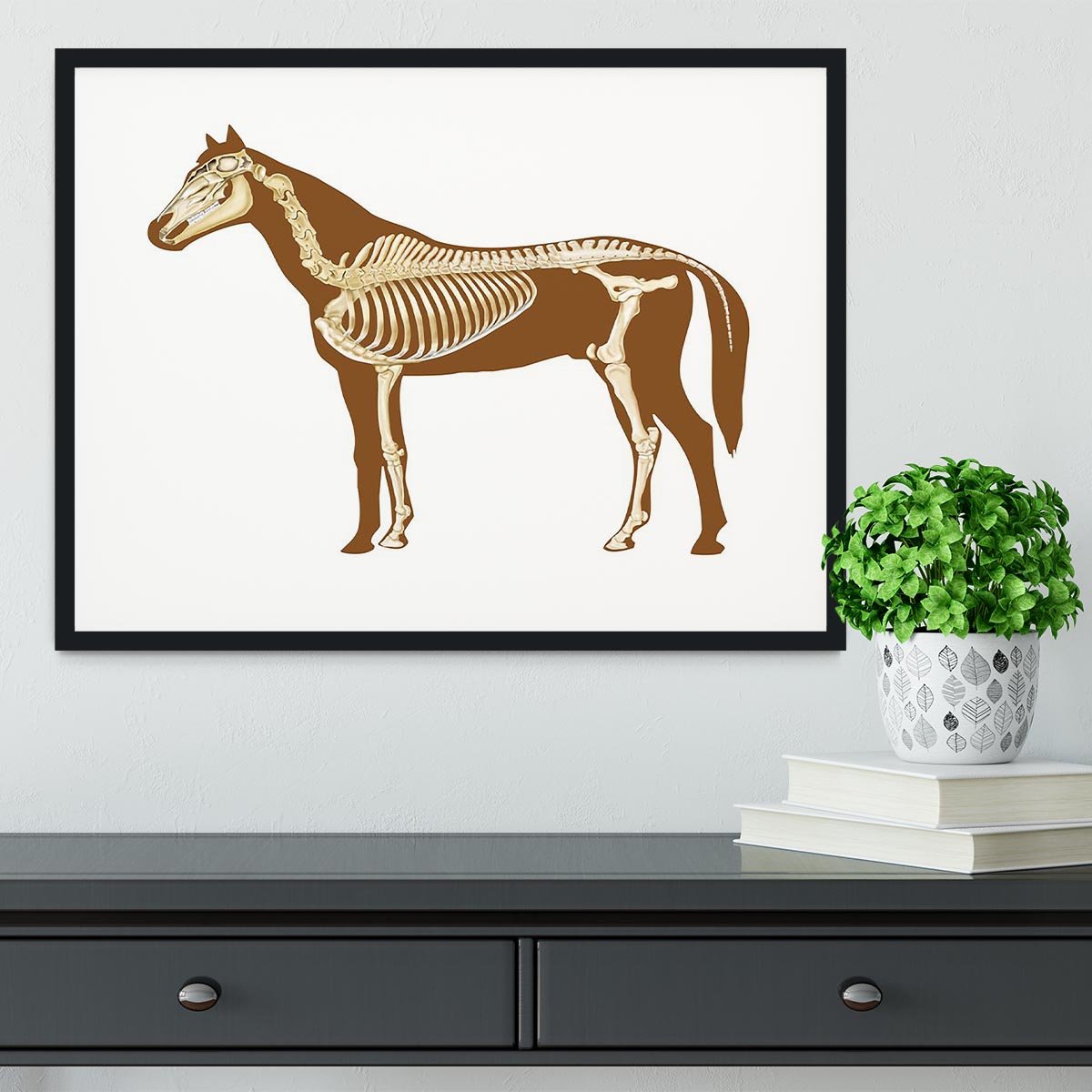 Horse skeleton section with bones x-ray Framed Print - Canvas Art Rocks - 1