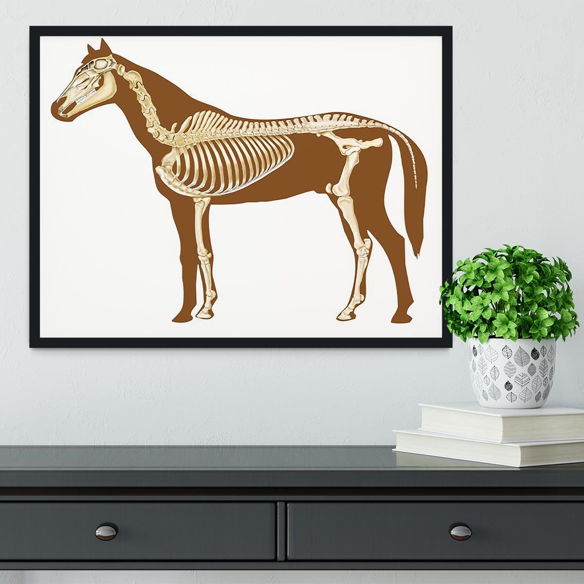 Horse skeleton section with bones x-ray Framed Print - Canvas Art Rocks - 2