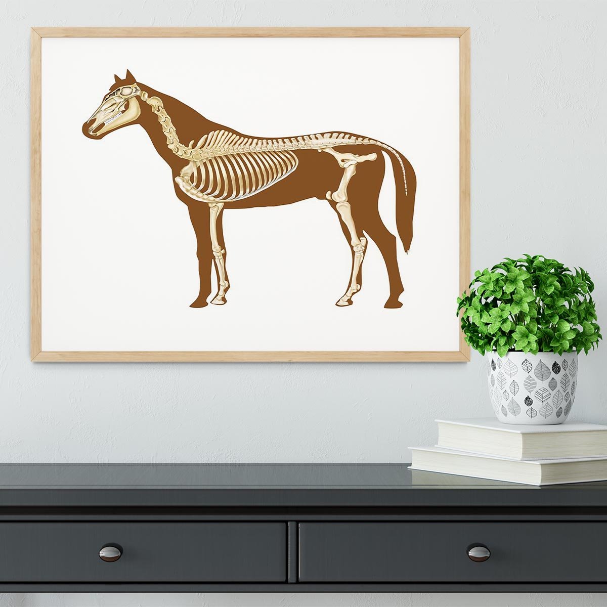 Horse skeleton section with bones x-ray Framed Print - Canvas Art Rocks - 3
