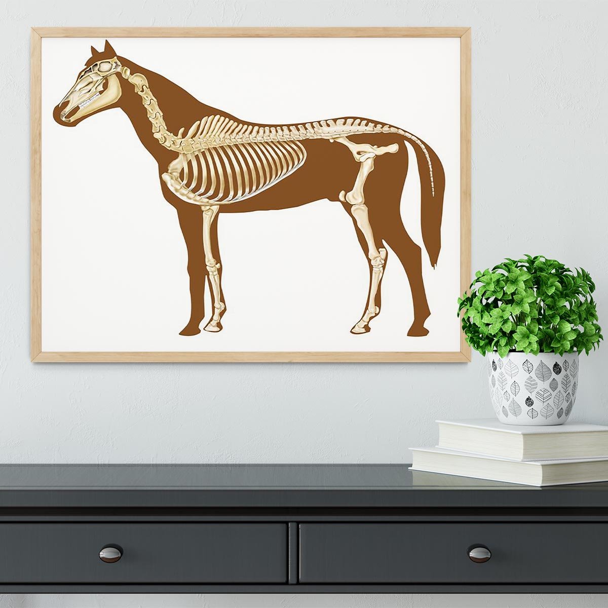 Horse skeleton section with bones x-ray Framed Print - Canvas Art Rocks - 4