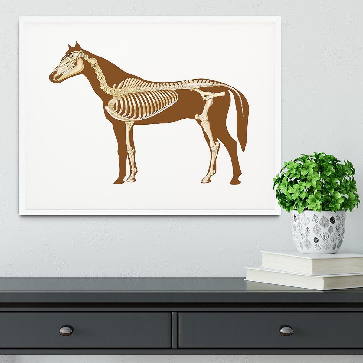 Horse skeleton section with bones x-ray Framed Print - Canvas Art Rocks - 5