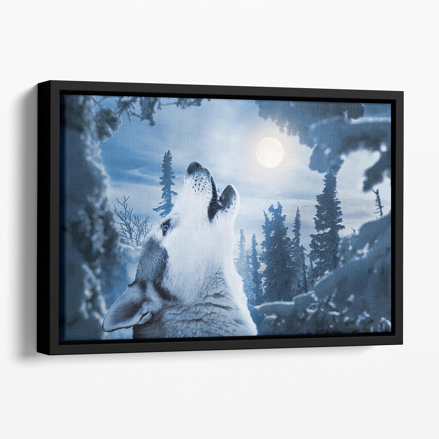 Howling to the moon Floating Framed Canvas - Canvas Art Rocks - 1