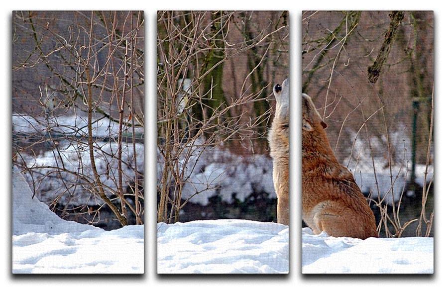 Howling wolf in winter scenery 3 Split Panel Canvas Print - Canvas Art Rocks - 1