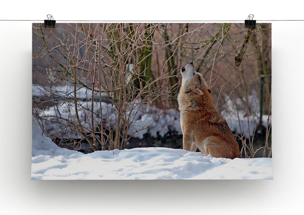 Howling wolf in winter scenery Canvas Print or Poster - Canvas Art Rocks - 2