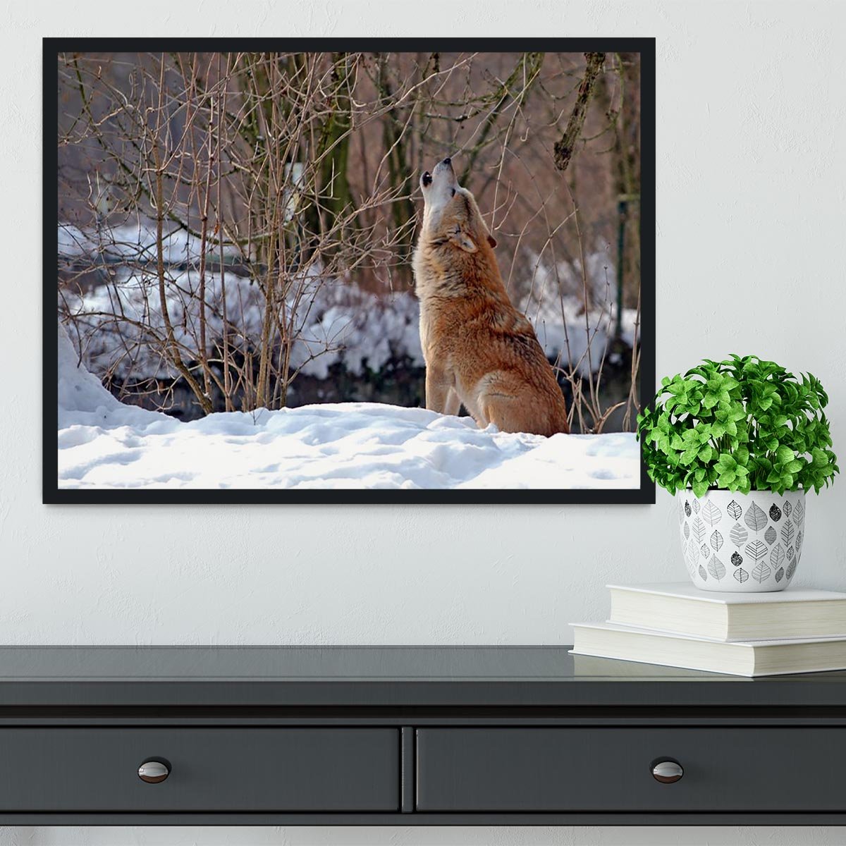 Howling wolf in winter scenery Framed Print - Canvas Art Rocks - 2
