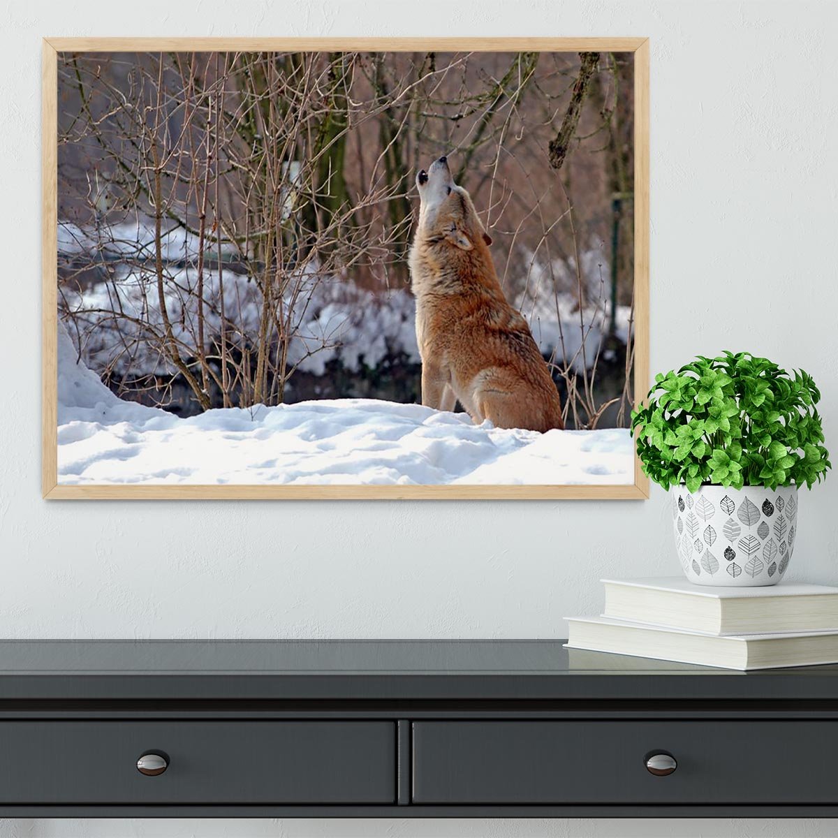Howling wolf in winter scenery Framed Print - Canvas Art Rocks - 4