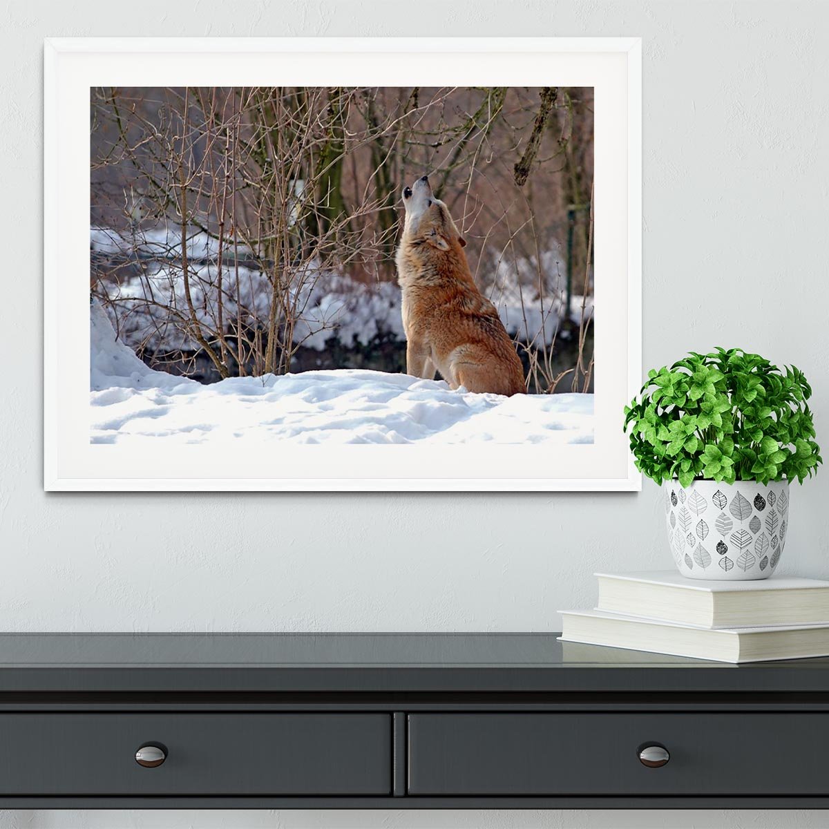 Howling wolf in winter scenery Framed Print - Canvas Art Rocks - 5