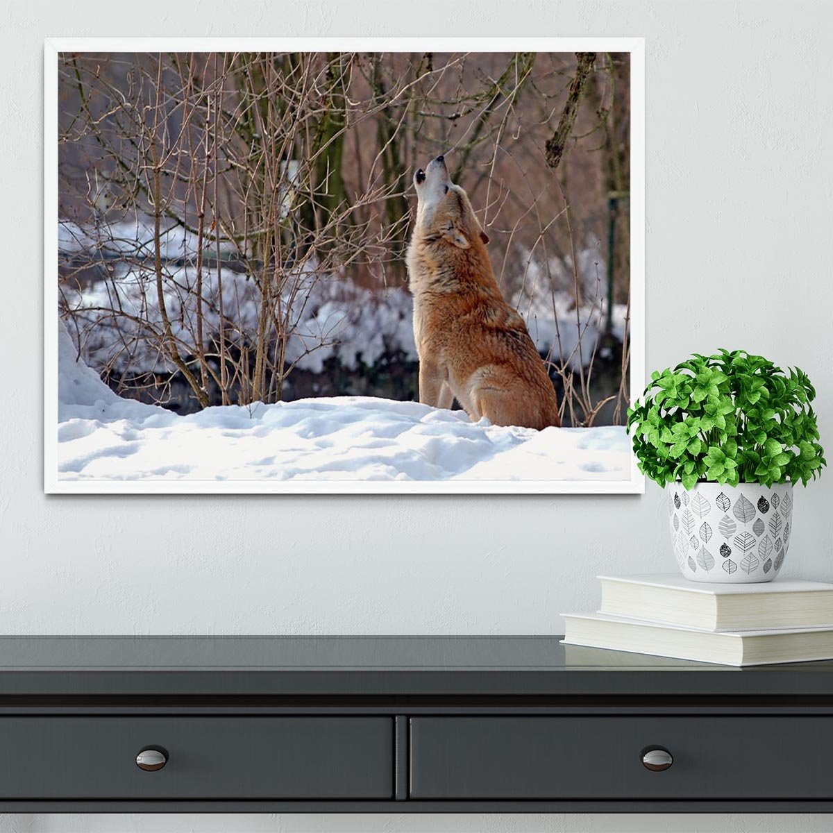 Howling wolf in winter scenery Framed Print - Canvas Art Rocks -6