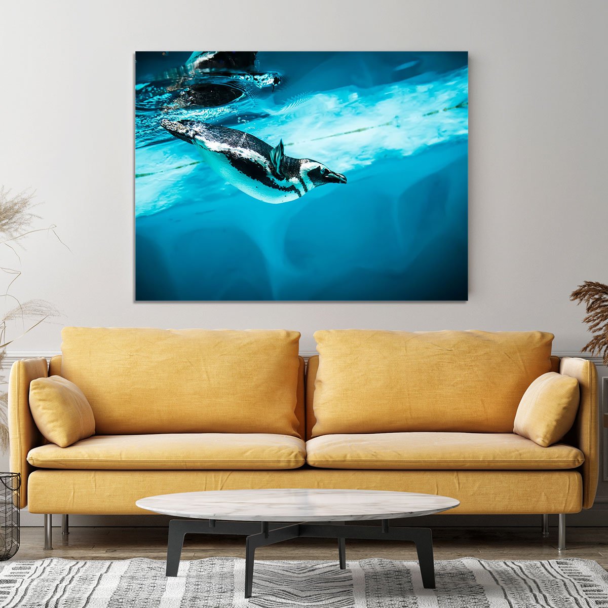 Humboldt Penguin Canvas Print or Poster