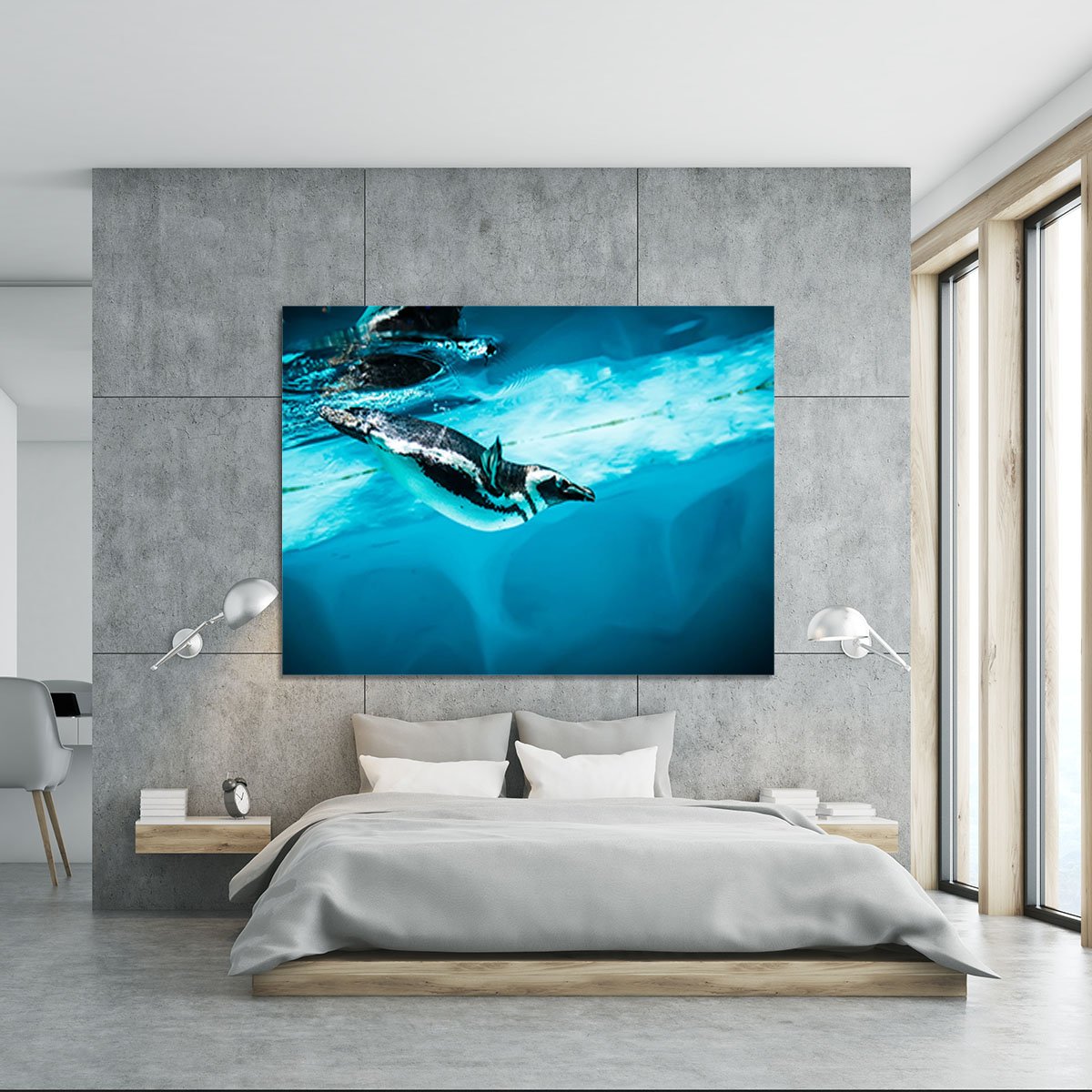 Humboldt Penguin Canvas Print or Poster