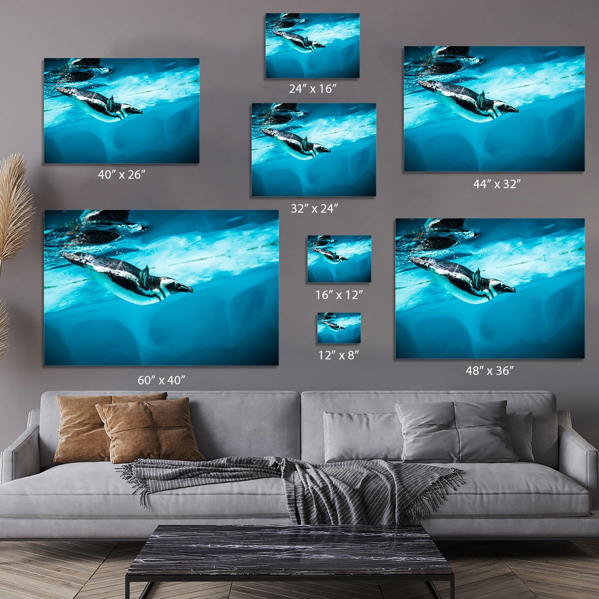 Humboldt Penguin Canvas Print or Poster