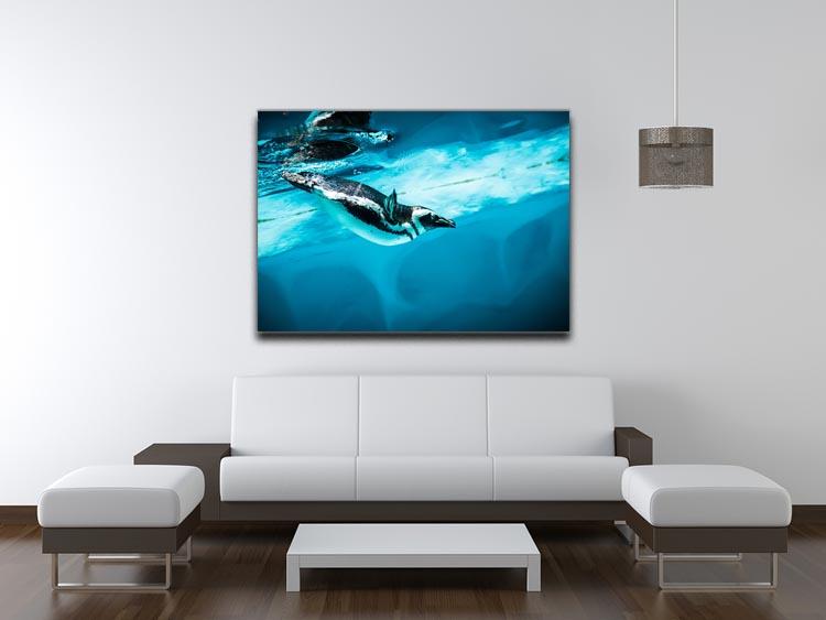 Humboldt Penguin Canvas Print or Poster - Canvas Art Rocks - 4