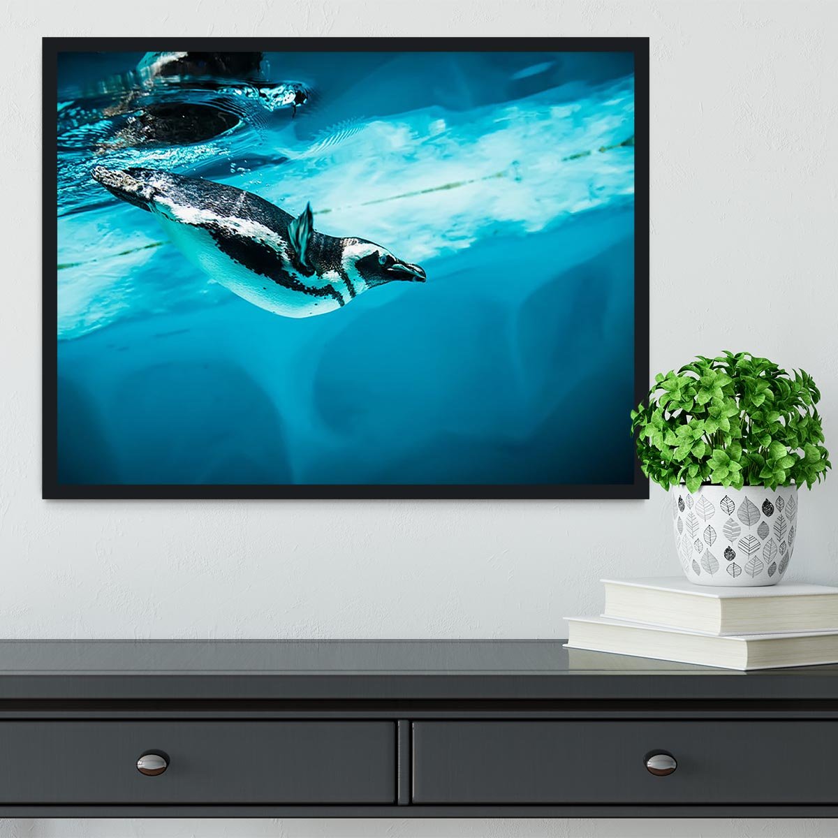 Humboldt Penguin Framed Print - Canvas Art Rocks - 2