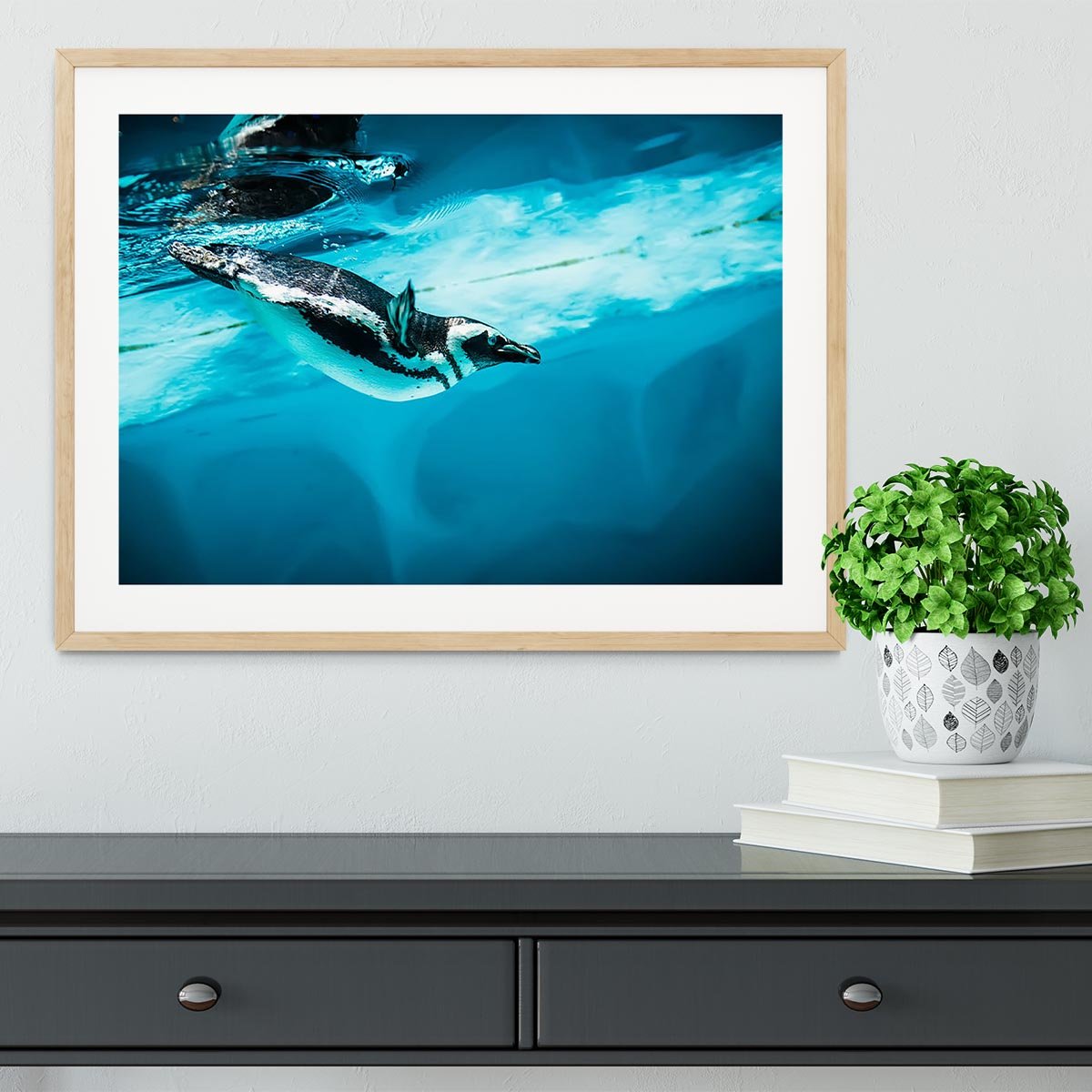 Humboldt Penguin Framed Print - Canvas Art Rocks - 3