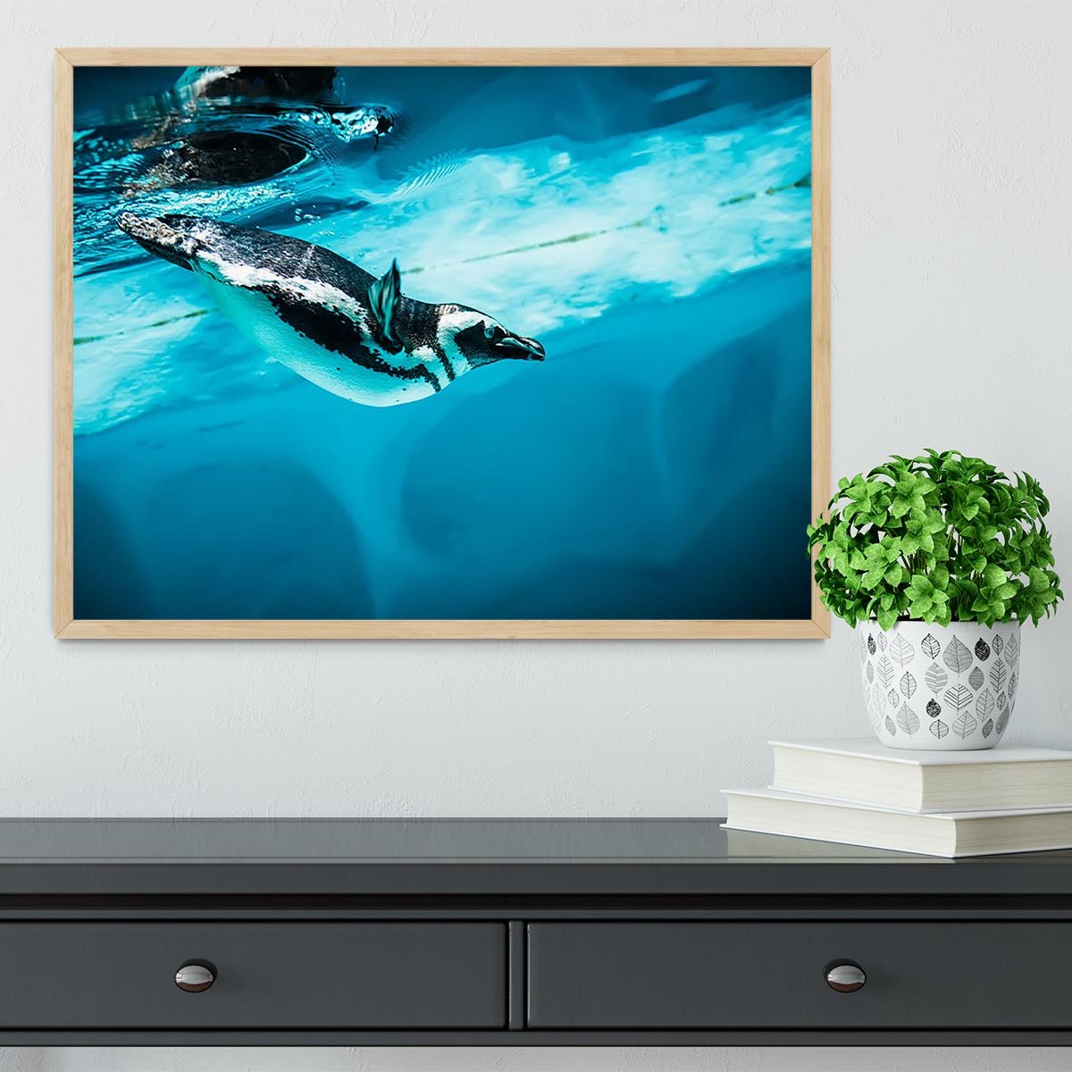 Humboldt Penguin Framed Print - Canvas Art Rocks - 4