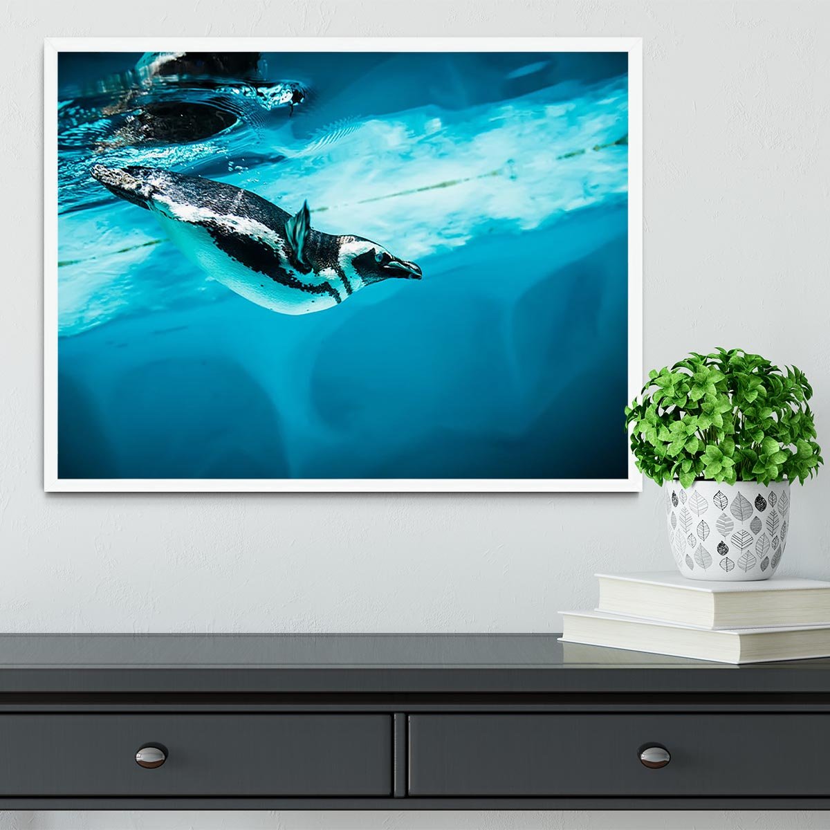 Humboldt Penguin Framed Print - Canvas Art Rocks -6