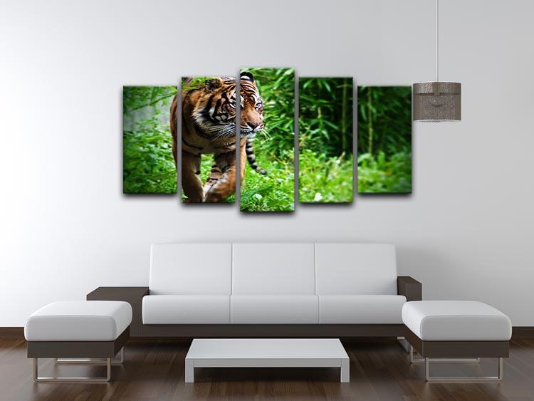 Hunting Tiger at the zoo 5 Split Panel Canvas - Canvas Art Rocks - 3