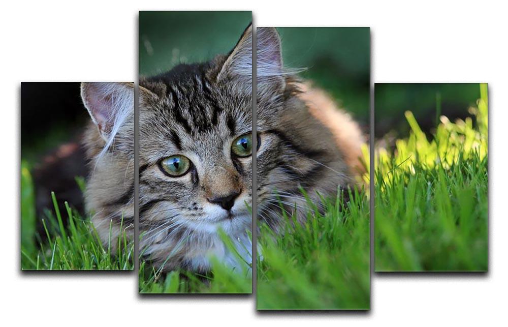 Hunting in the grass 4 Split Panel Canvas - Canvas Art Rocks - 1
