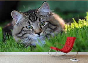Hunting in the grass Wall Mural Wallpaper - Canvas Art Rocks - 2