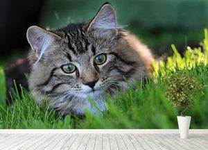 Hunting in the grass Wall Mural Wallpaper - Canvas Art Rocks - 4