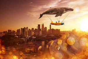 I belive i can fly Wall Mural Wallpaper - Canvas Art Rocks - 1