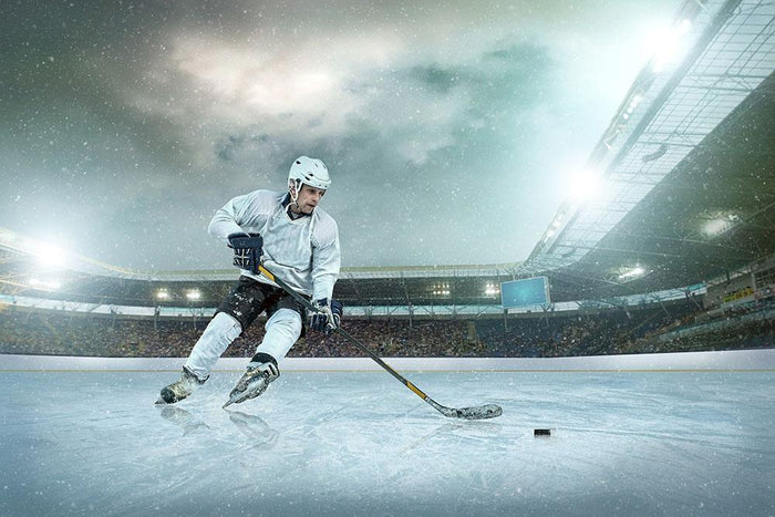 Ice hockey Winter Classic game Wall Mural Wallpaper