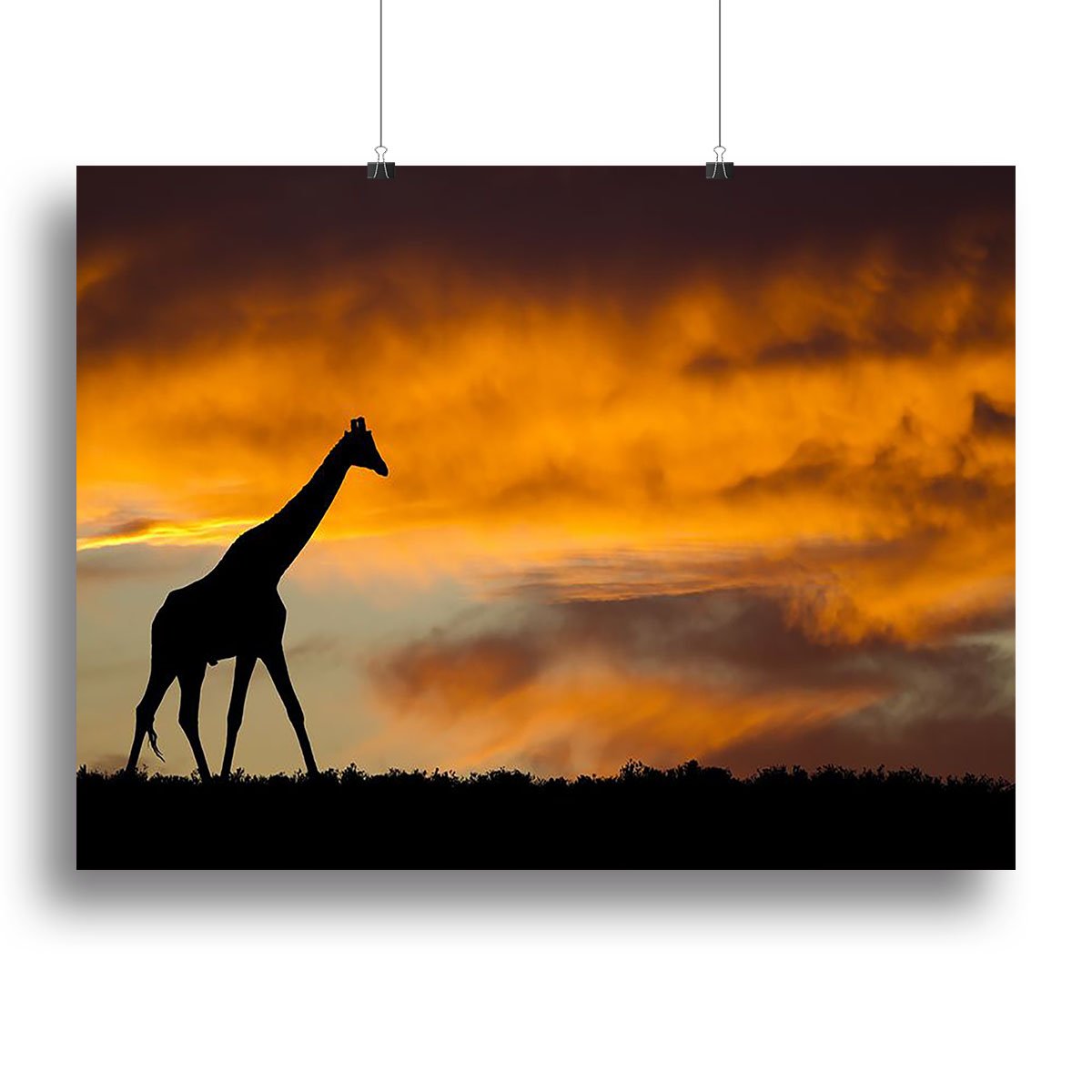 Idyllic african wildlife silhouette Canvas Print or Poster