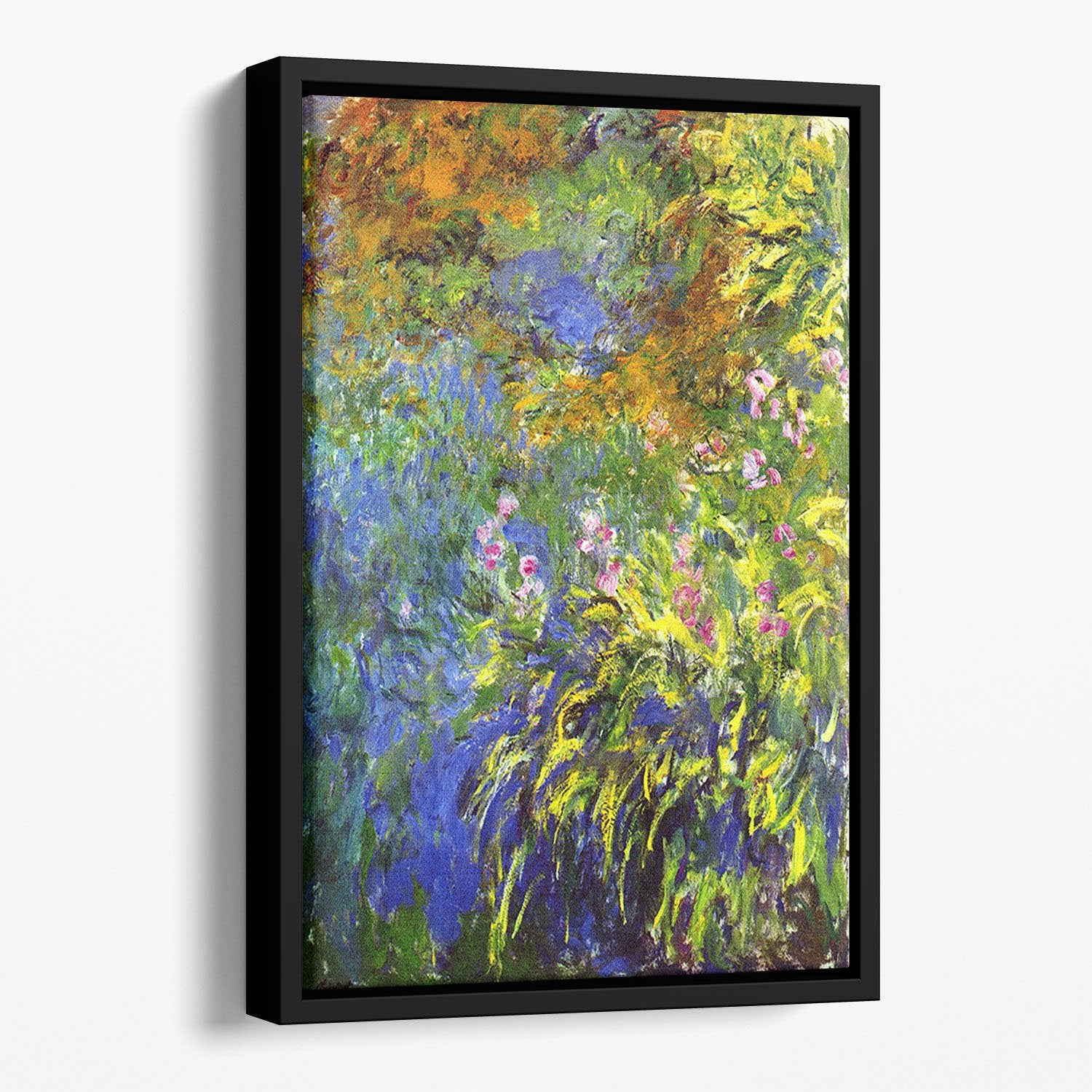 Iris at the sea rose pond 2 by Monet Floating Framed Canvas
