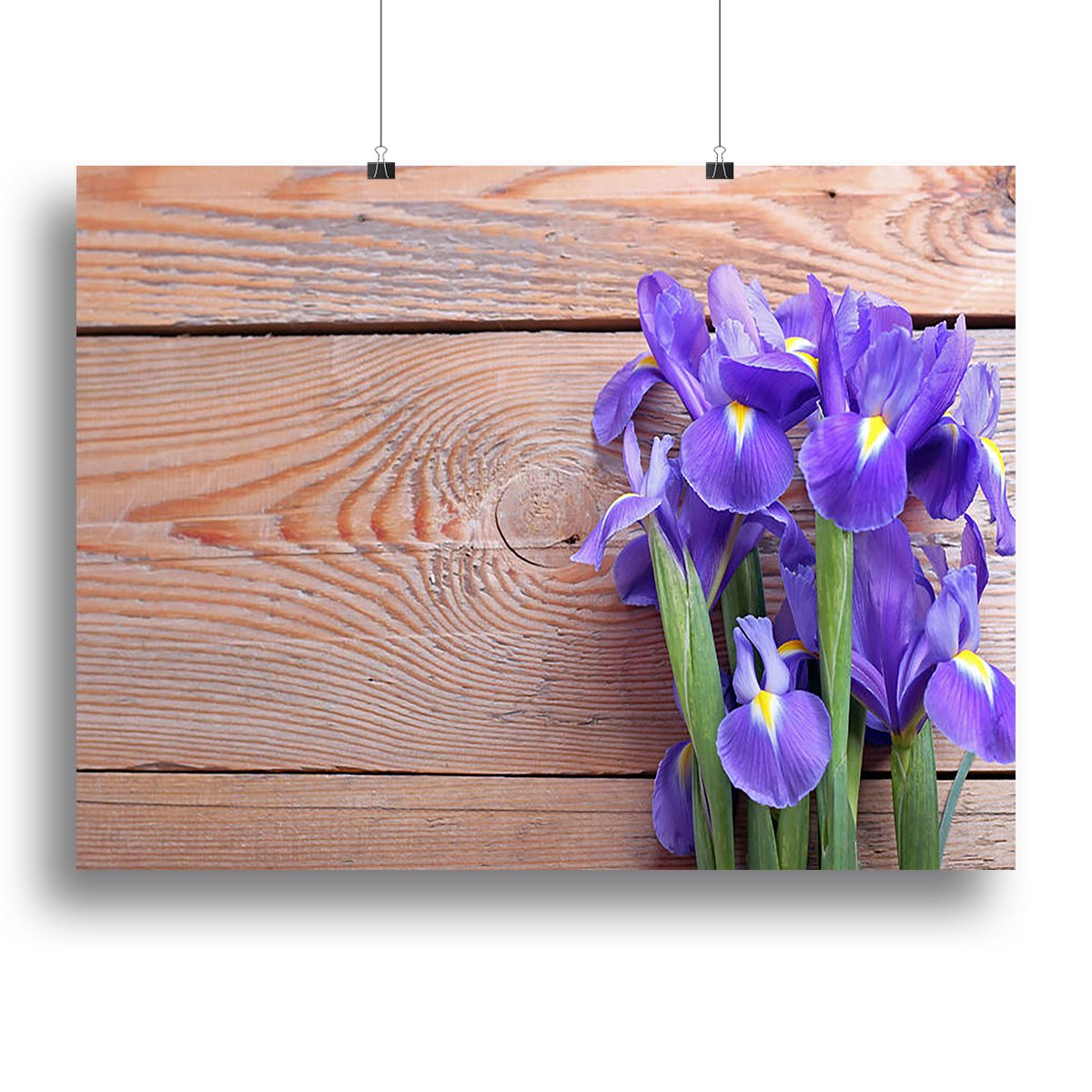Iris on an old wooden background Canvas Print or Poster