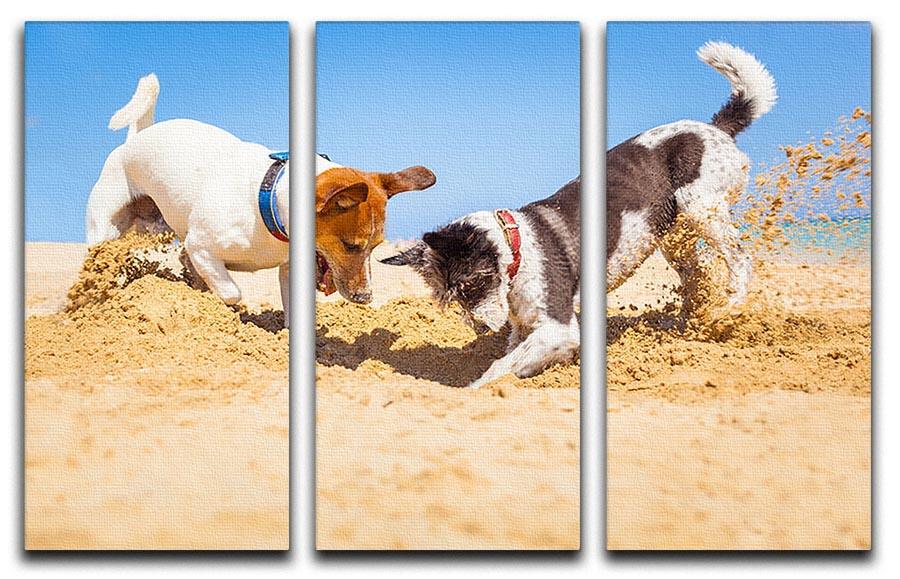 Jack russell couple of dogs digging a hole 3 Split Panel Canvas Print - Canvas Art Rocks - 1