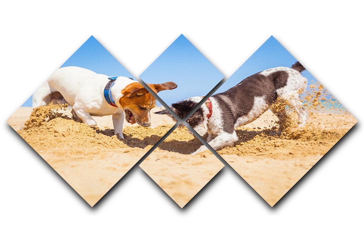 Jack russell couple of dogs digging a hole 4 Square Multi Panel Canvas - Canvas Art Rocks - 1